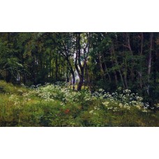 Flowers on the forest edge 1893