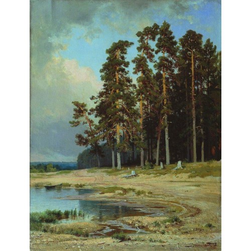 Forest 1885