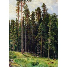 Forest 1892