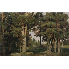 Forest 1893