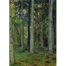 Forest 1897