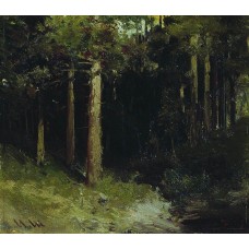 Forest 7