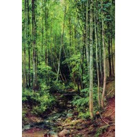 Forest aspen 1896