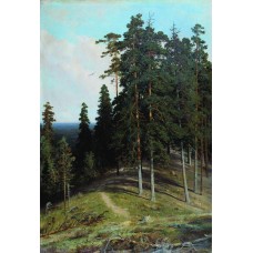 Forest from the mountain 1895