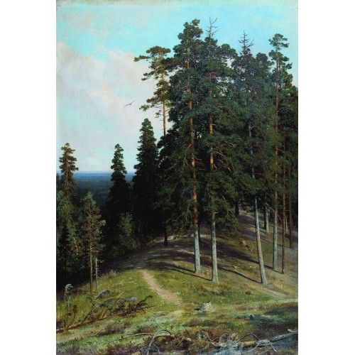 Forest from the mountain 1895