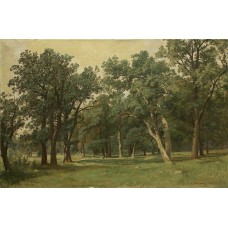 Forest glade 1889