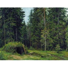 Forest hut 1892