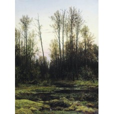 Forest in spring 1884
