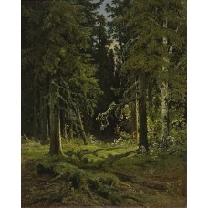 Forest landscape 1878