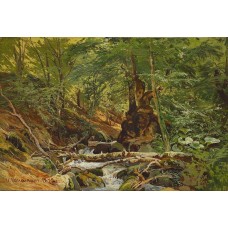 Forest landscape 1879