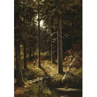 Forest landscape 1890