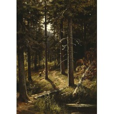 Forest landscape 1890