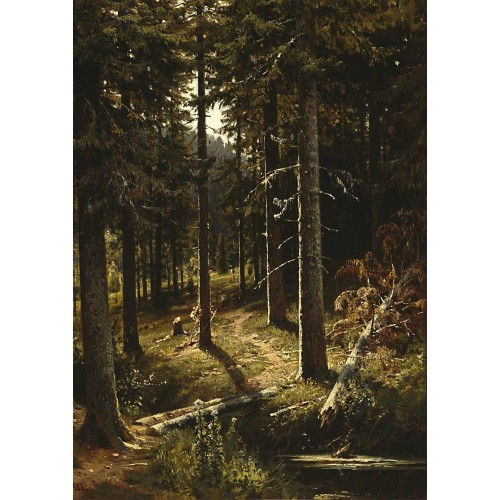 Forest landscape 1890