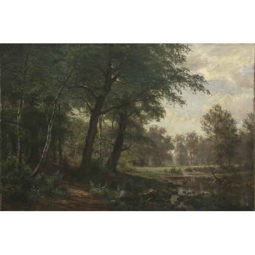 Forest landscape with stream