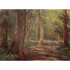 Forest road 1892