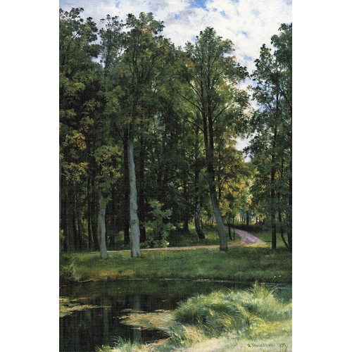 Forest road 1897