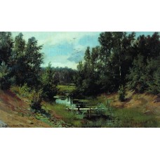 Forest stream 1870