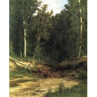 Forest stream 1874