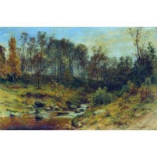 Forest stream 1896