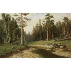 Mast tree forest 1891