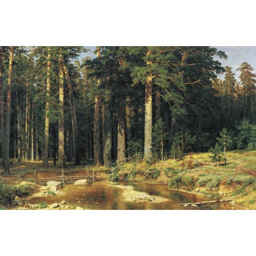 Mast tree grove 1898