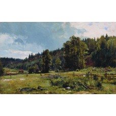 Meadow at the forest edge siverskaya 1887