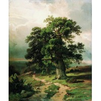 Oak 1865