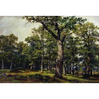 Oak forest 1869