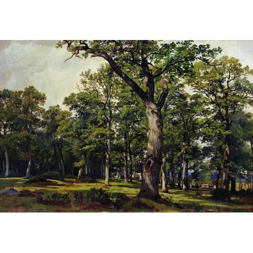 Oak forest 1869