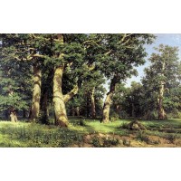 Oak grove 1887