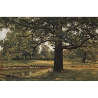 Oaks in old peterhof 1891 1