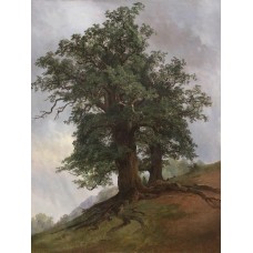 Old oak 1866