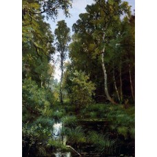 Overgrown pond at the edge of the forest siverskaya 1883