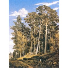 Pine forest 1866