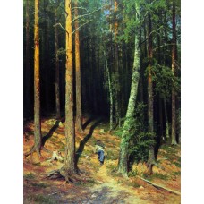 Pine forest 1878