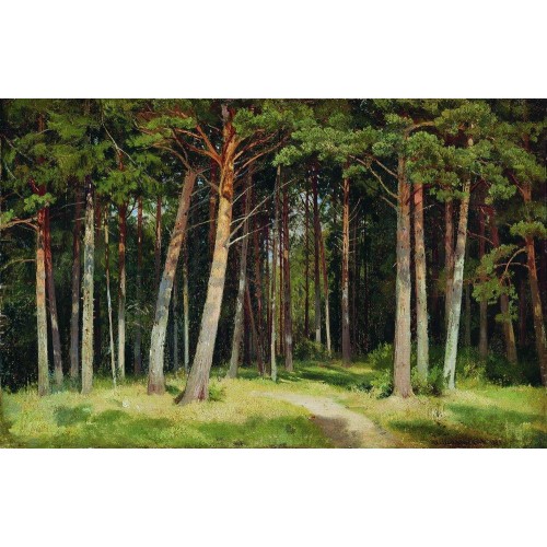 Pine forest 1885