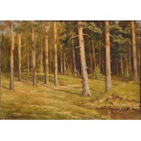 Pine forest