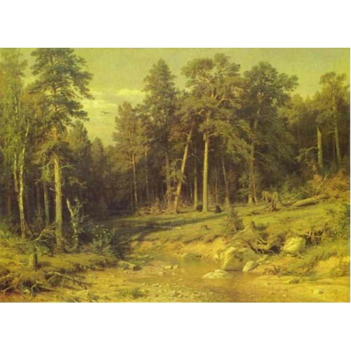 Pine forest in viatka province 1872