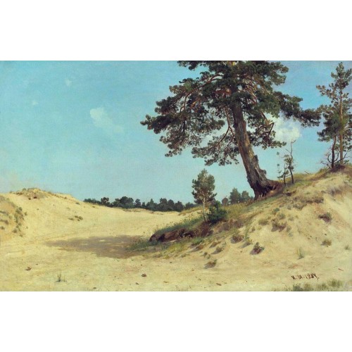 Pine on sand 1884