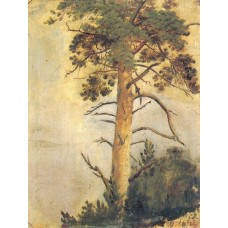 Pine on the cliff 1855