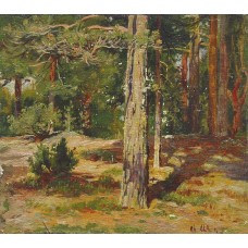 Pines summer landscape 1867