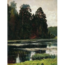 Pond 1881