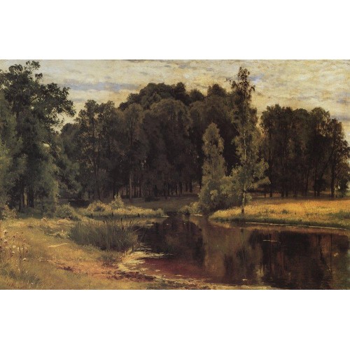 Pond in a old park 1897