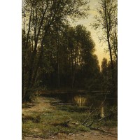 River backwater in the forest 1890