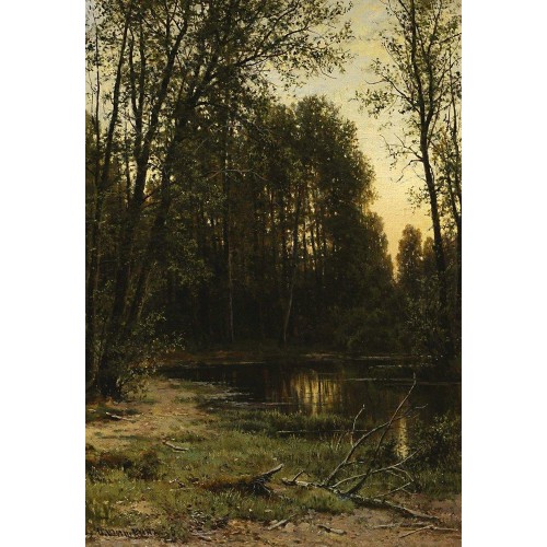 River backwater in the forest 1890