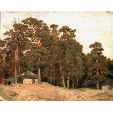 Sandy road 1898