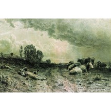 Summer in the field landscape with a herd