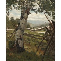 Summer landscape with birch