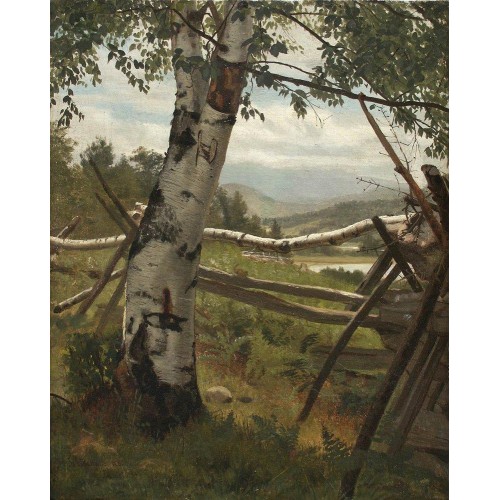 Summer landscape with birch