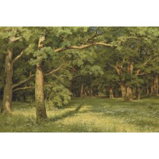 The forest clearing 1896